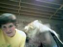 Man Vs. Wild Wolf
