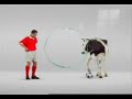 Swiss Milk