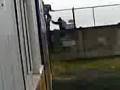 videos de wena cauros!!