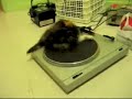 You Spin Me RIght Round