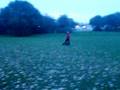videos de wheelman