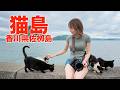 【女ひとり旅】猫まみれ！瀬戸内海に浮かぶ猫島に行ってきました【佐栁島】