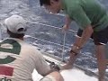 Semana de Vela de Búzios - e-brigade Semana de Vela de Búzios - e-brigade