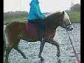 Marianne op mijn topper