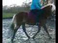 videos de Marianne op mijn topper