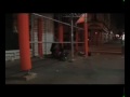 robert biver avec sa camera accompagne depuis plus d'un an, titi, mich, fernand et dom dans leur quotidien. ces 4 h�ros de la rue, nous font d�couvrir leur vie, comme nous l'avons jamais vue !