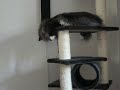 Olfert & Tyson
