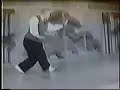 wang shu jin doing xing yi