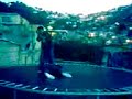 Trampolin Wrestling Bloopers 2