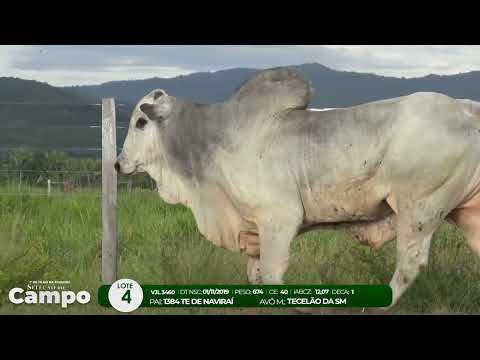 1 De Olho na Fazenda SELEO DO CAMPO