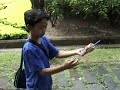 Indonesia Jakarta, Yogyakarta, Borobudur