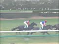 ???NIKKEI? (Jpn3) ??????