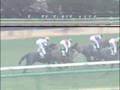 きさらぎ動画14