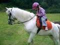 3 Years Old Girl Riding Pony