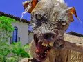 Fugly Dog Fugly Dog