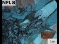 metal eating pest caught on film