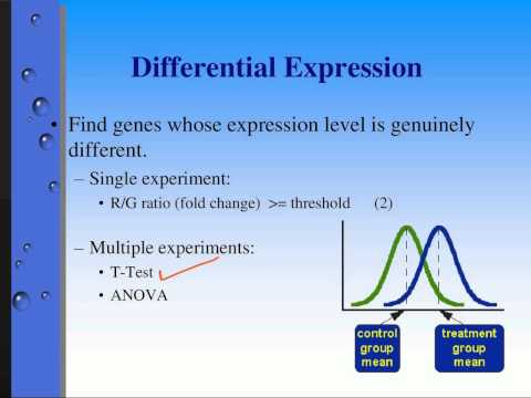 how to measure gene expression