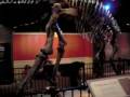 Hadrosaurus Foulkii exhibit