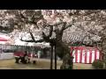 春の清荒神清澄寺 Buddhist temple with cherry blossom