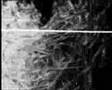 Abominable Putridity 'Victims Stuffed with Nails'