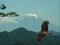 東急田園都市線は大変な放送を流していきました Ver2.0