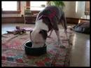 Eating Eating