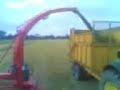 pottinger mex