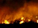 new years eve brush fire pt 5 of 5
