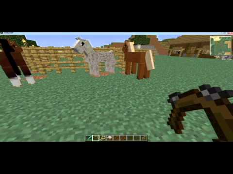 Simply Horses Review for 1.4.7