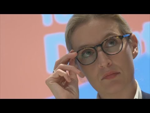 AFD-Spendenskandal: Staatsanwalt bezweifelt Alice W ...