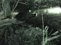 Part jeep part fish part (1) Part jeep part fish part (1)