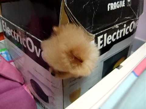 See video