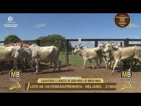 11� LEIL�O FAM�LIA LUCIANO DUARTE E CONVIDADOS