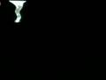 videos de acav al euqirne
