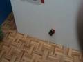 auto radiocomanda super climber troppo forte