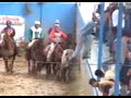COLEO LOS LLANOS 2007