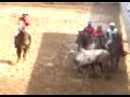 COLEO LOS LLANOS 2007