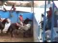 COLEO LOS LLANOS 2007