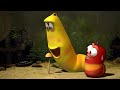 Hongo | LARVA | Dibujos animados para niños | WildBrain en Español