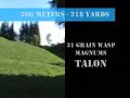 Airforce talon shooting 200 meters