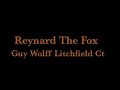 Reynard The Fox
