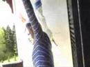 videoklip