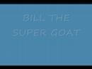 See Bill Jump See Bill Jump
