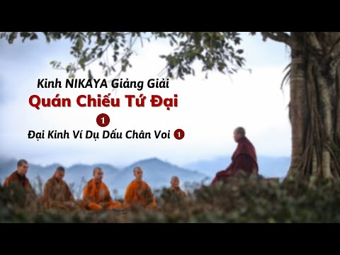 Kinh NIKAYA Giảng Giải - Quán Chiếu Tứ Đại 1 ( Đại Kinh Ví Dụ Dấu Chân Voi 1 )