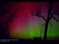 Aurora Tribute