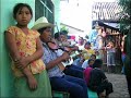 Puro Sentimiento Huasteko (La Petenera)