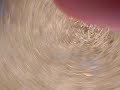 The Labyrinth 2007 -Minilogue Live-