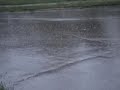 Come Rain Sleet or Snow Go Gary Go