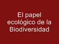 Biodiversidad Biodiversidad