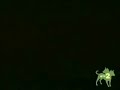 Frank at the coffin XDD